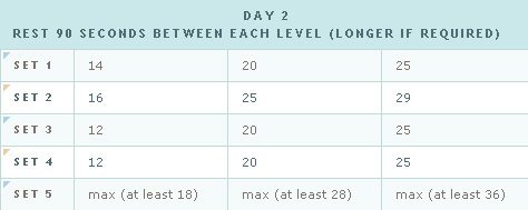 Week 4 Day 2