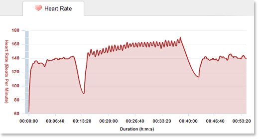 Heart Rate